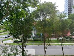 Parc Vera (D19), Condominium #460673031